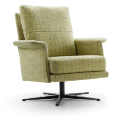 Dutchz 204 fauteuil