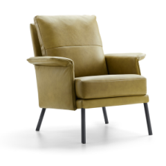 Dutchz 204 fauteuil